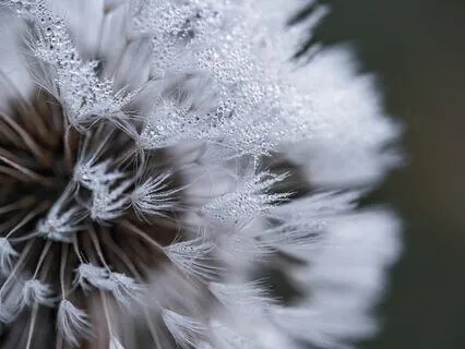 Purifying Your Heart Meditation