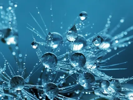 Purity Chants Asato Ma Sanskrit