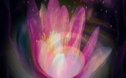 Purity Of Being Meditation