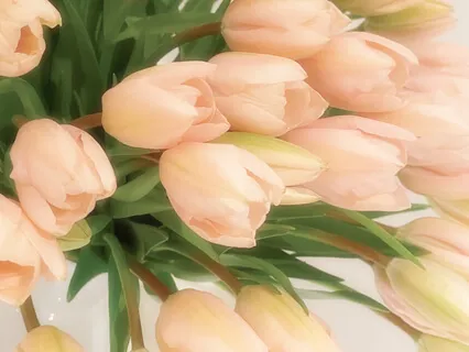  Purity Of Heart Piano Requiem Meditation 1