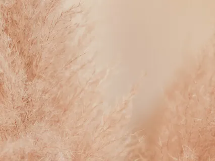 Purity Of Heart Piano Requiem Meditation 2