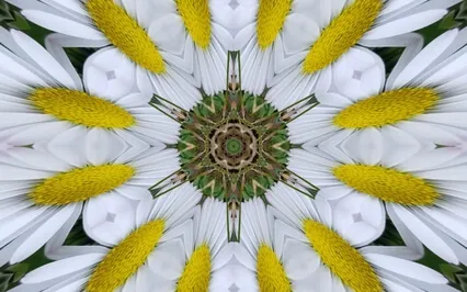 Purity Renews Itself Guided Self-inquiry Journaling Prompts 