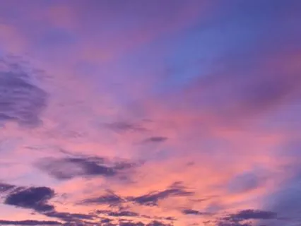 Purple Dusk