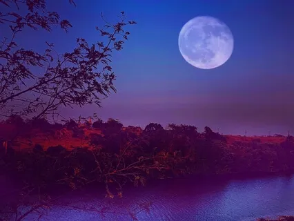 Purple Moon