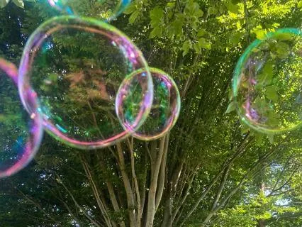 Purple Protection Bubble