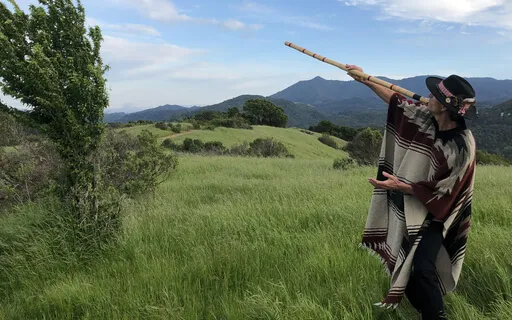 Purple Shadows - Deep Dream Album