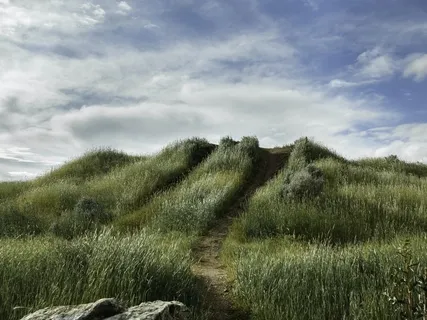 Purpose In This Space