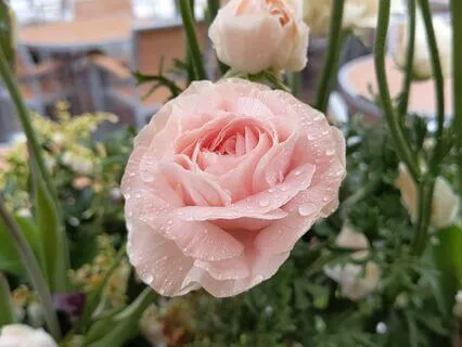 Purpose & Meaning | Mindful Motivation