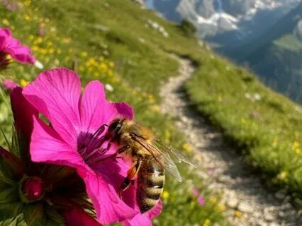 Purpose Of Life Revealed