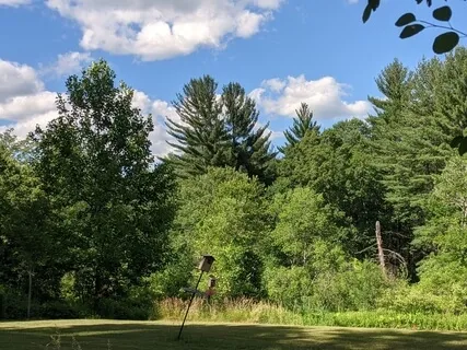 Purpose, Peace & Belonging: A Woodland Walk To A Cabin