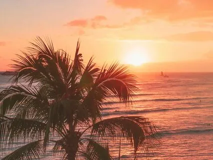 Purpose & Progress: A Softer Path Is Calling