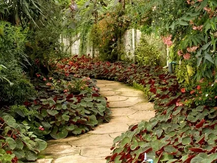 Purpose, Reincarnation & Suffering - Q&A Session