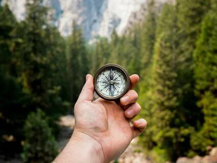 Purpose Vs Purposefulness