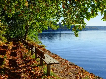 Purposeful Pause: 3-Part Breath