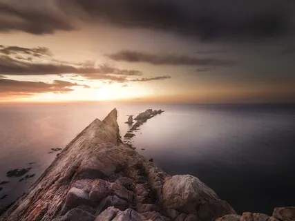 Purposeful Pause: Drop Into Stillness