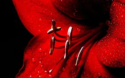 Pushing Through What's Holding You Back