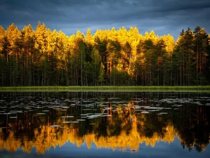 Put A Pinch Of Salt Over Anxiety