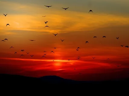 Put Away The Day - An Evening Relaxation Reflection Meditation Practice