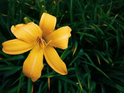 Put On Your Thinking Cap