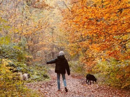Put Your Own Mask On First: Daily Habits For Self-Compassion
