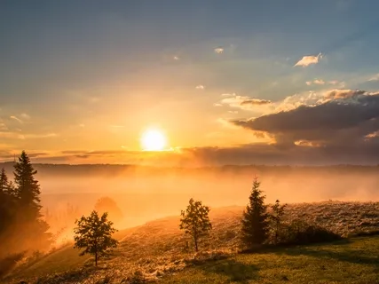 Putting A Stop To Waste Thoughts 