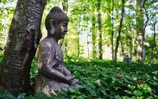 Q & A With Ṭhānissaro Bhikkhu