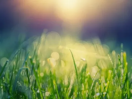 Начни Новую Жизнь, Отпусти Прошлое и Двигайся к Новым Целям