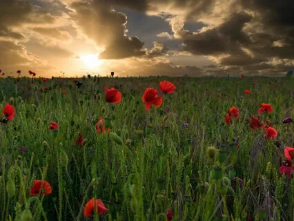 قد ايش انت موجود حقيقةً لنفسك ؟