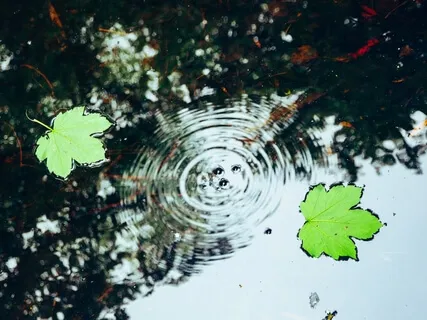 قدم سوم - بیدار کردن حواس