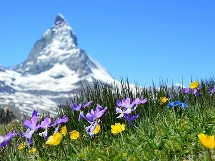 Qi Energy Balance: Part Four Meridian Massage