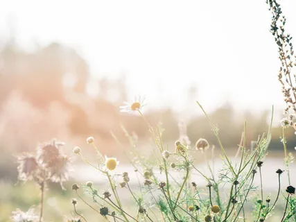 前世を体験する瞑想