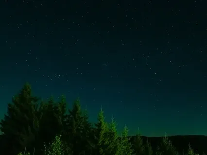 薔非的身體掃描療癒靜心 Guided Body Scan Meditation