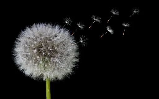 薔非的睡前感恩靜心冥想 Gratitude Meditation Before Sleep