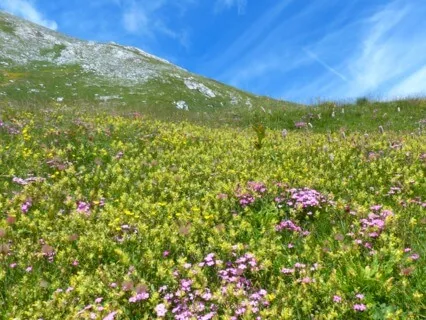  薔非的與山同坐靜心冥想 Be The Mountain: A Guided Meditation