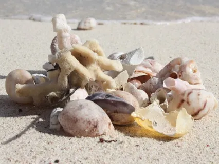 Qigong 5 Element Meditation