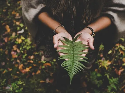 קרקע ליום חדש