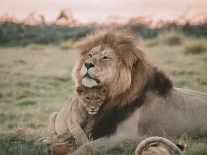 קצת אהבה לא תזיק - תרגול של חמלה ואהבה 