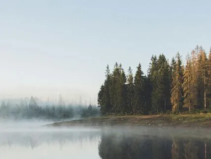 Qualities Of Your True Self | Morning Alignment Practice