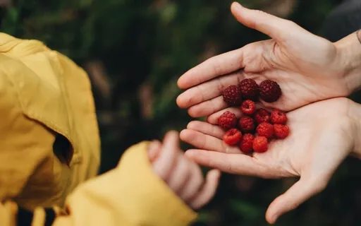 Quality Of Life Is Revealed In Every Contribution