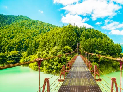 Quantum Echoes From Our Future - A Sitar Instrumental 