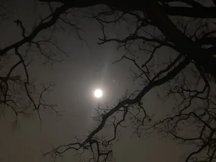 Quantum Femme - A Manifestation Poem