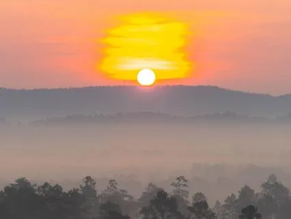 Quantum Gratitude: Morning Meditation