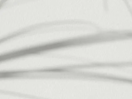 Quantum Identity: Embodying Your Future Self