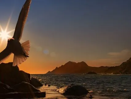 Quantum Jam: Breathing Into Life, Love & Freedom