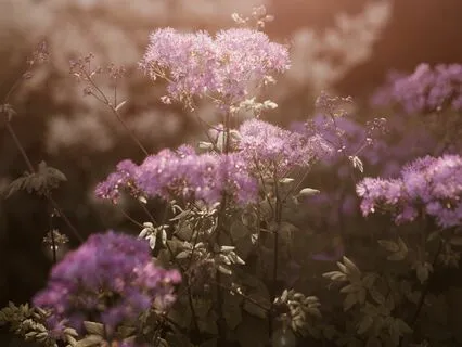 Quantum Jam - Lyrical Breath For Restoration