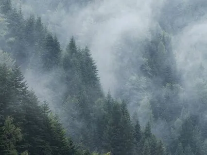 Quantum Jam: Still Life - Breathing In Emptiness