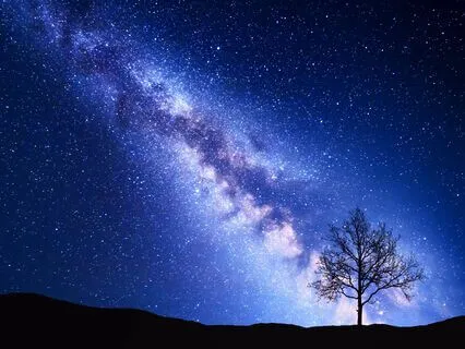 Quantum Jump Multiverse Parallel Reality