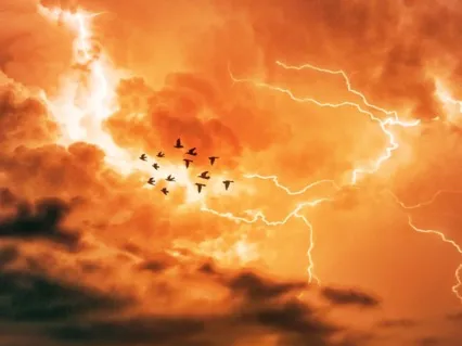 Quantum Jump To Your Best Life