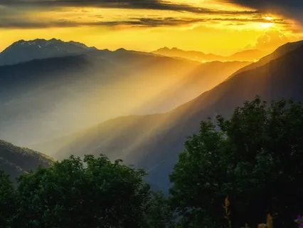 Quantum Jump Visualization