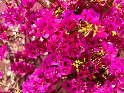 Quantum Jumping Visualization: Meet Your Future Self